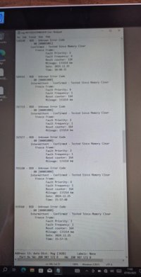 IMG_8068.jpeg