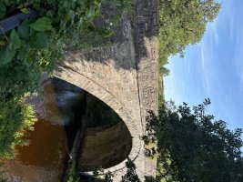 IMG_9349.jpeg IMG_9349.jpeg