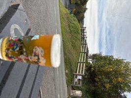 IMG_0118.jpeg