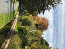 IMG_0124.jpeg