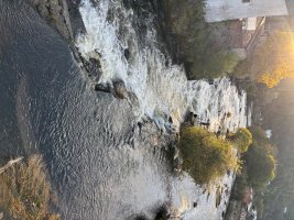 IMG_0145.jpeg
