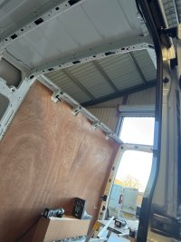 IMG_0208.jpeg IMG_0208.jpeg