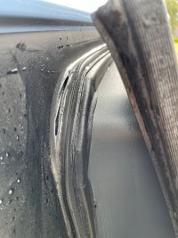 IMG_8091.jpeg