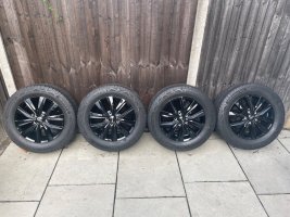IMG_8186.jpeg