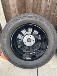IMG_8191.jpeg